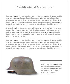 M40 captured German « Normandy 1944 » US Veteran art helmet, « untouched / as-found » - photo 5