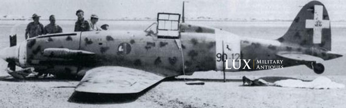 Très rare emblème fasciste découpé du fuselage d’un avion de chasse italien « Macchi C.202 » en camouflage méditerranéen - photo 9