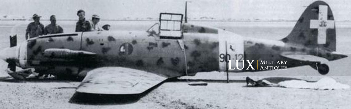 WWII Italian Fascist Tropical Aircraft Emblem « Macchi C.202 » - photo 9