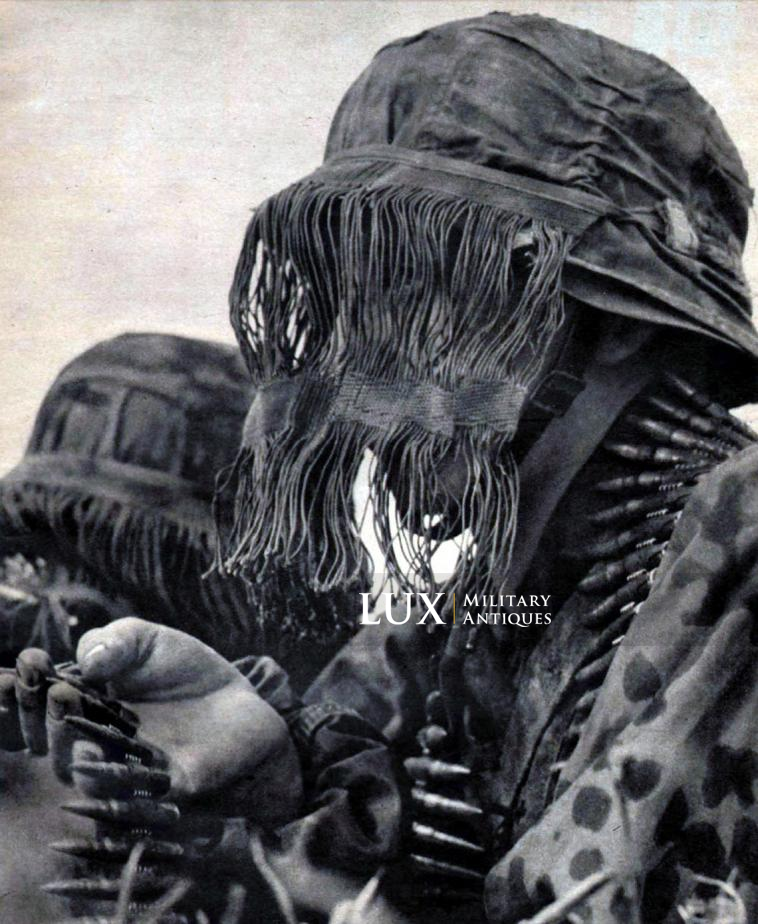 Waffen-SS face veil - photo 7