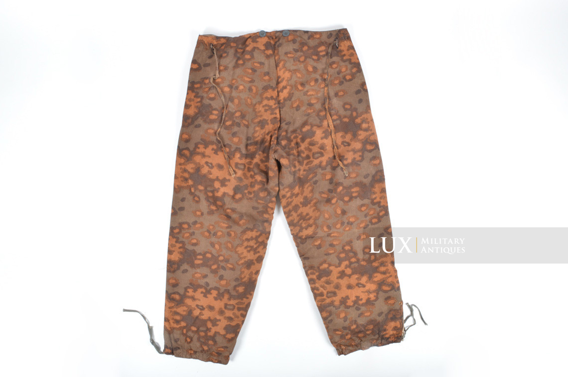 Waffen-SS Oak Leaf « B » autumn reversible pants - photo 13