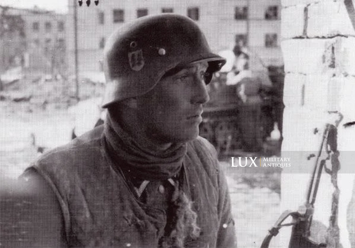 Surveste allemande Waffen-SS en fourrure, « Felljacke » - photo 8
