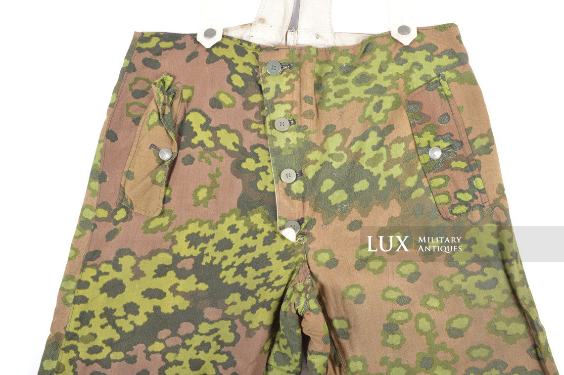Waffen-SS oak leaf spring pattern reversible winter parka and trouser set - photo 35
