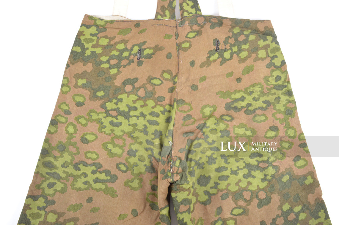Waffen-SS oak leaf spring pattern reversible winter parka and trouser set - photo 43