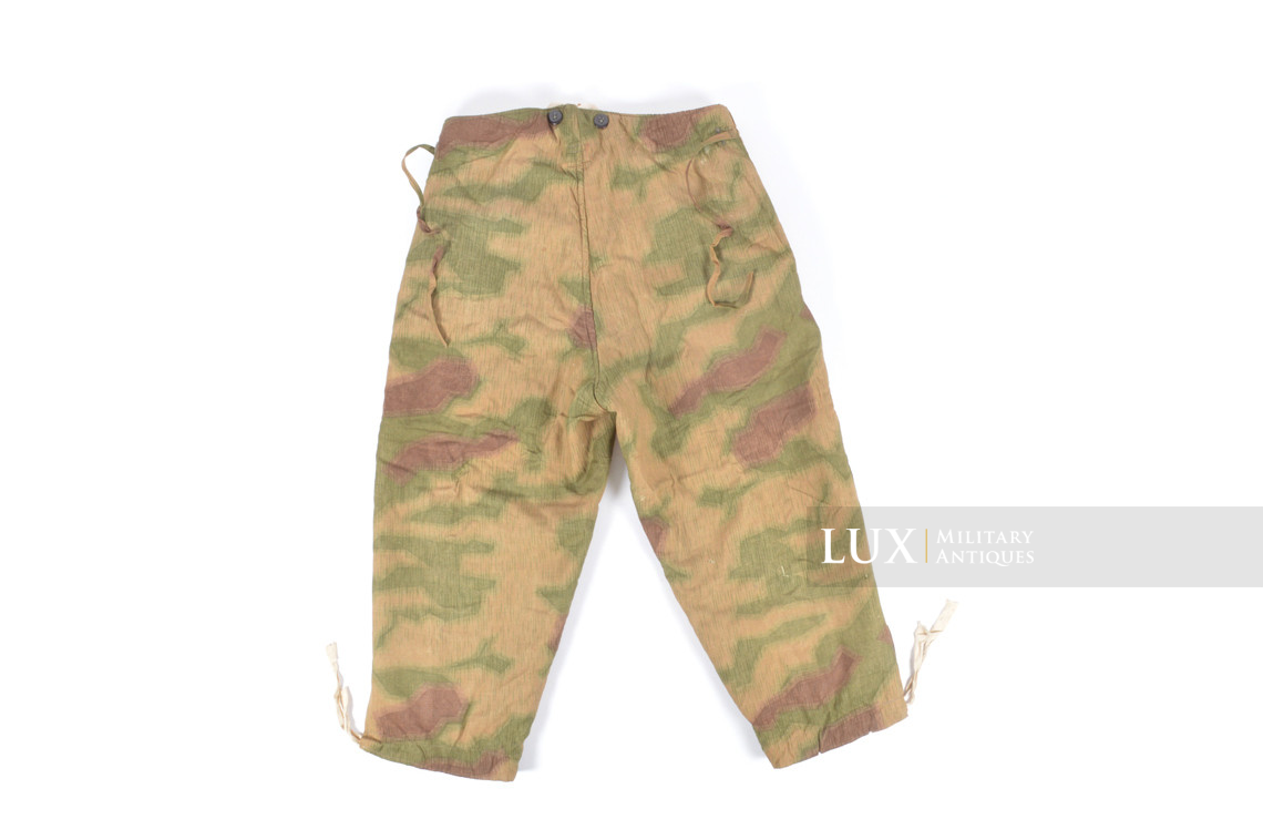 Pantalon hiver Heer / Luftwaffe réversible en camouflage flou - photo 21