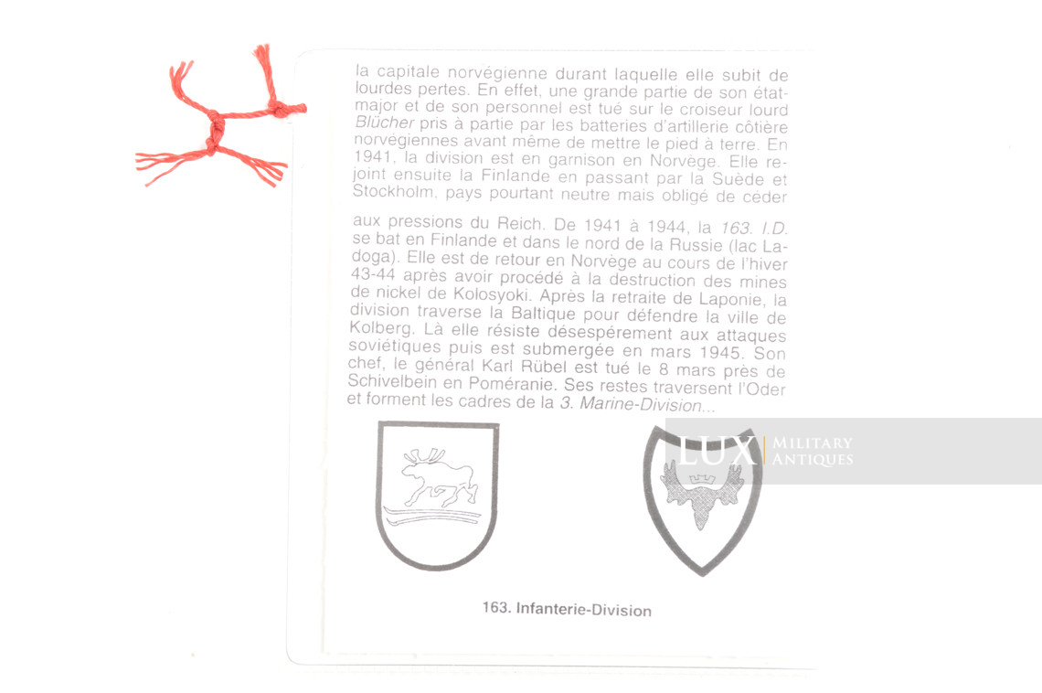 German vehicle pennant of a medical officer of the 163rd Infantry Division - photo 31