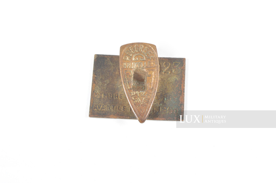 Rare REX loyal party member badge - photo 8