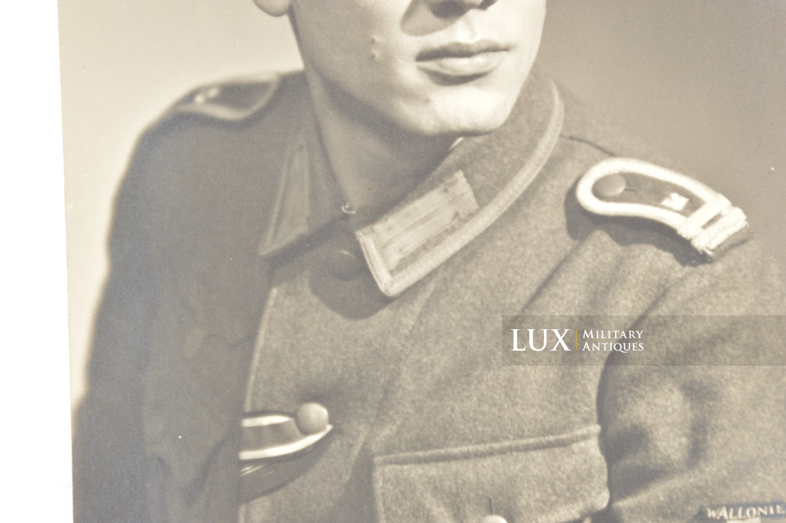 Portrait Photograph of a Walloon Volunteer, « Légion Wallonie » - photo 8