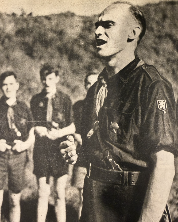 Insigne militaire belge, « campagne des 18 jours - REX » - photo 11