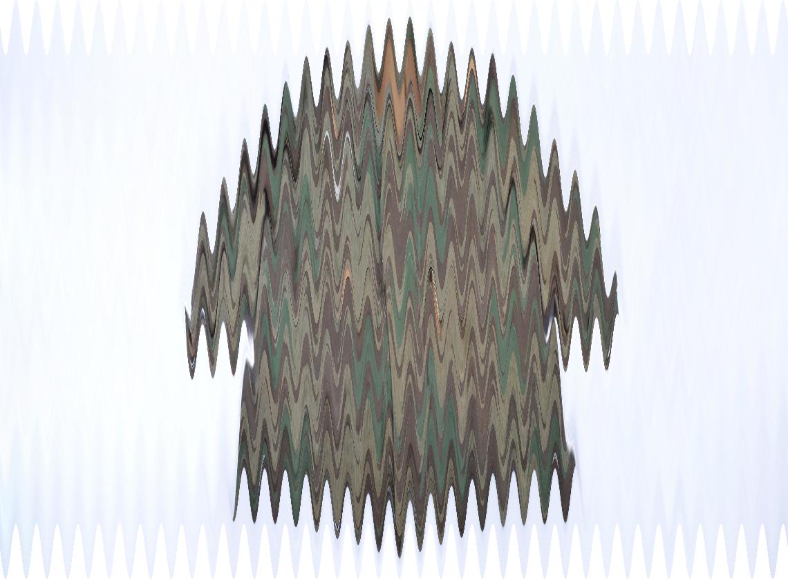 Blouse de saut de parachutiste (Fallschirmjäger), camouflage éclat - photo 4