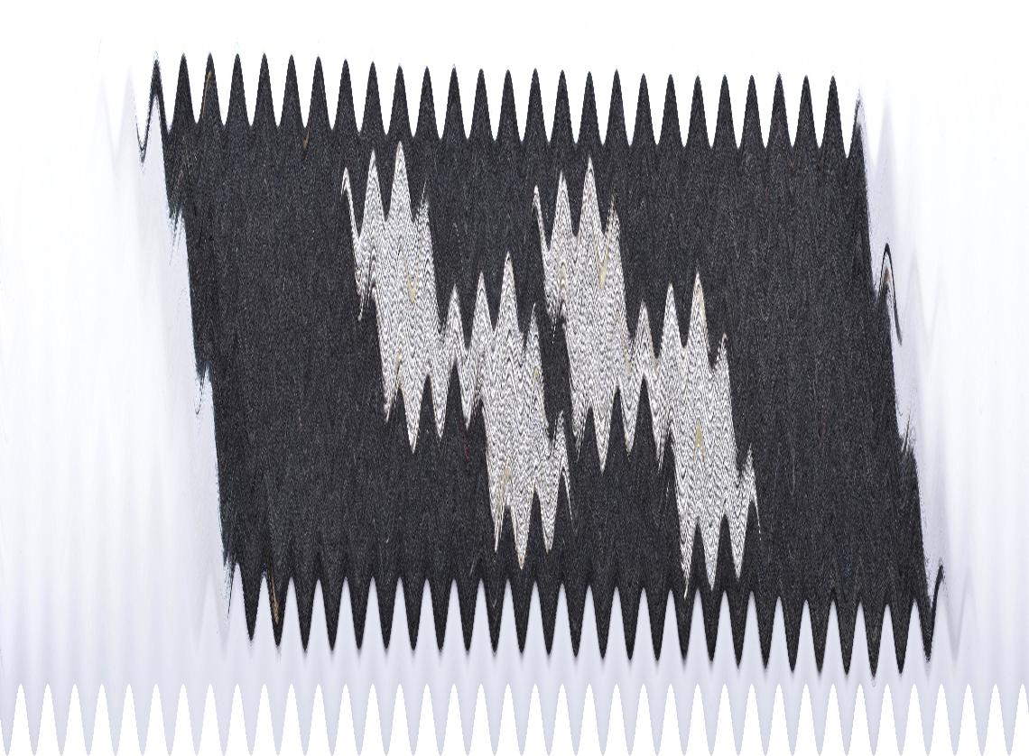 Coin de col Waffen-SS, runes fil d’argent - photo 4