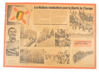 Résultat de la recherche - photo 28